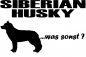 Preview: Aufkleber "Siberian Husky ...was sonst?"